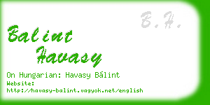 balint havasy business card